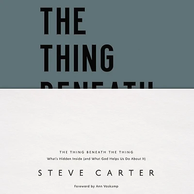 the Thing Beneath Thing: What's Hidden Inside (and What God Helps Us Do About It)
