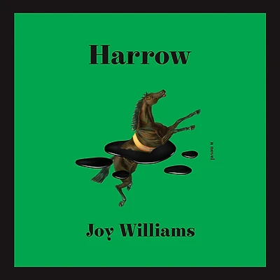 Harrow: A Novel