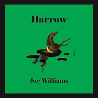 Harrow: A Novel