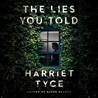 The Lies You Told