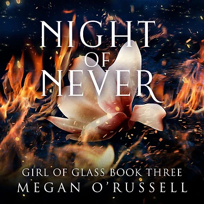 Night of Never