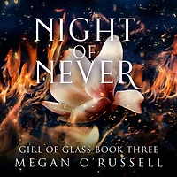 Night of Never