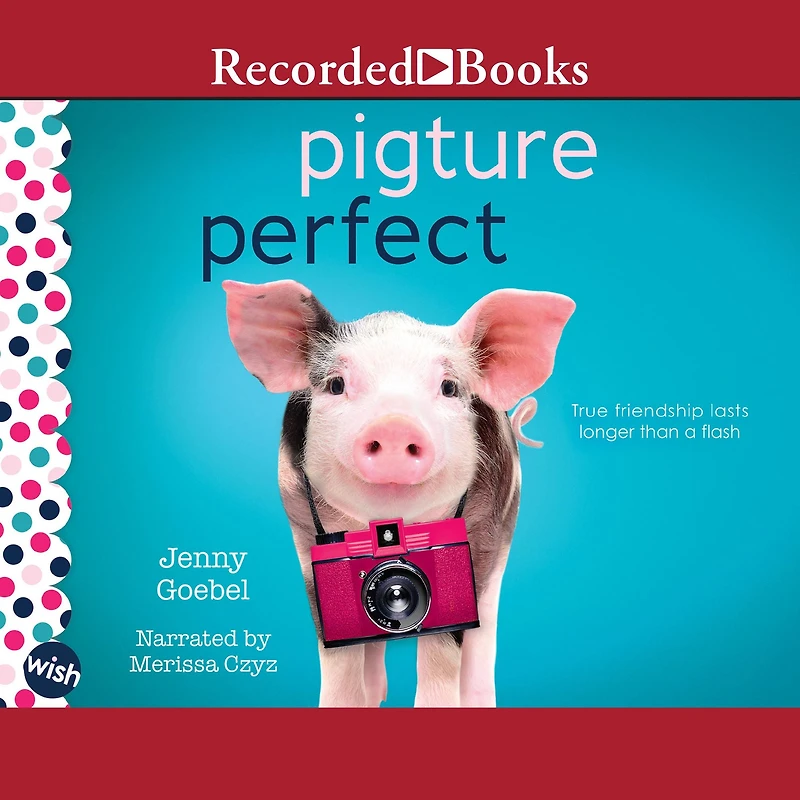 Pigture Perfect: A Wish Novel