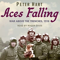 Aces Falling: War Above The Trenches, 1918
