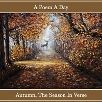 Poem A Day: Autumn - A Season in Verse, A: Poems to make your day