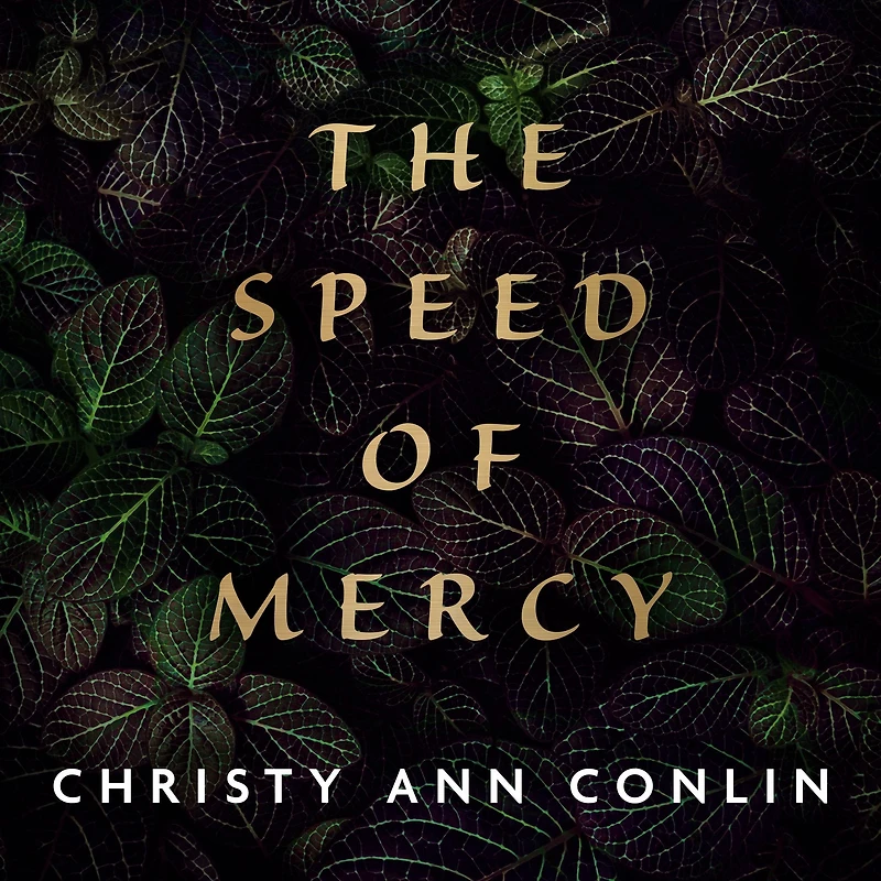 The Speed of Mercy