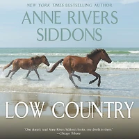 Low Country: A Novel