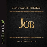 Holy Bible in Audio - King James Version: Job, The