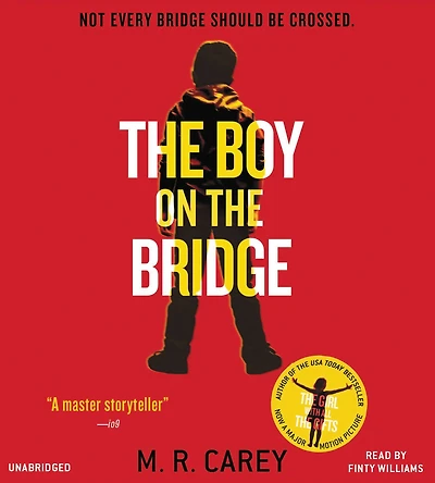 the Boy on Bridge