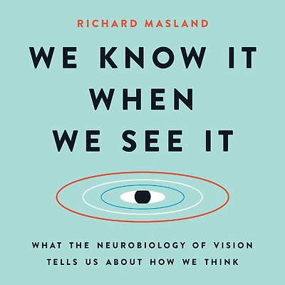 We Know It When See It: What the Neurobiology of Vision Tells Us About How Think