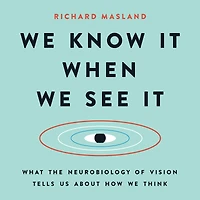 We Know It When See It: What the Neurobiology of Vision Tells Us About How Think