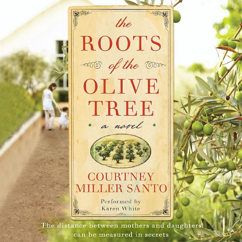 the Roots of Olive Tree