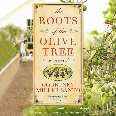 the Roots of Olive Tree