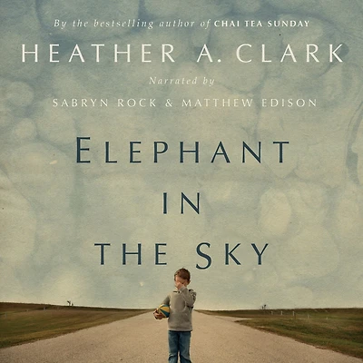 Elephant the Sky: A Novel