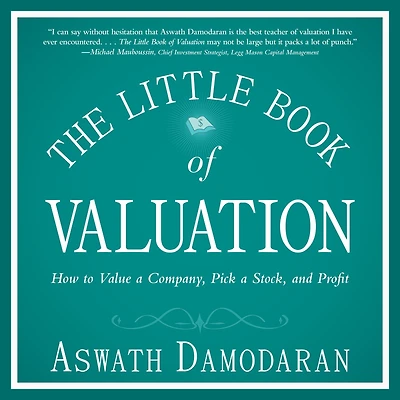 The Little Book of Valuation: How to Value a Company, Pick Stock and Profit