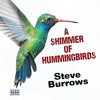 A Shimmer of Hummingbirds