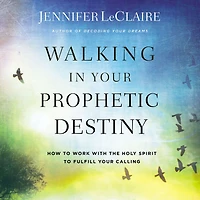 Walking Your Prophetic Destiny: How to Work with The Holy Spirit Fulfill Calling