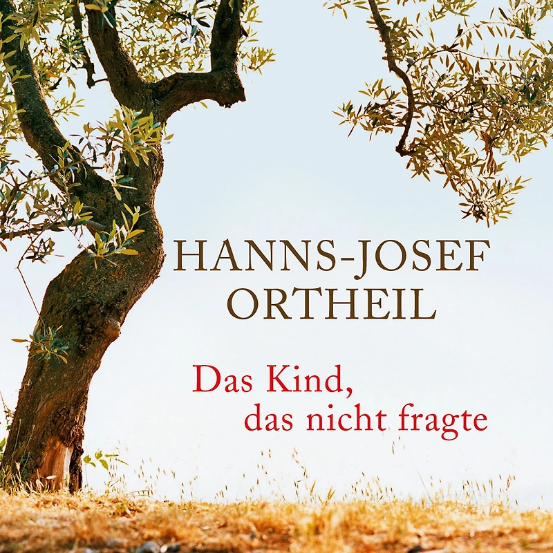 das Kind, nicht fragte: Roman