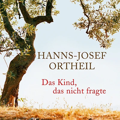 das Kind, nicht fragte: Roman