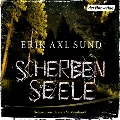 Scherbenseele: Psychothriller