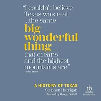 Big Wonderful Thing: A History of Texas
