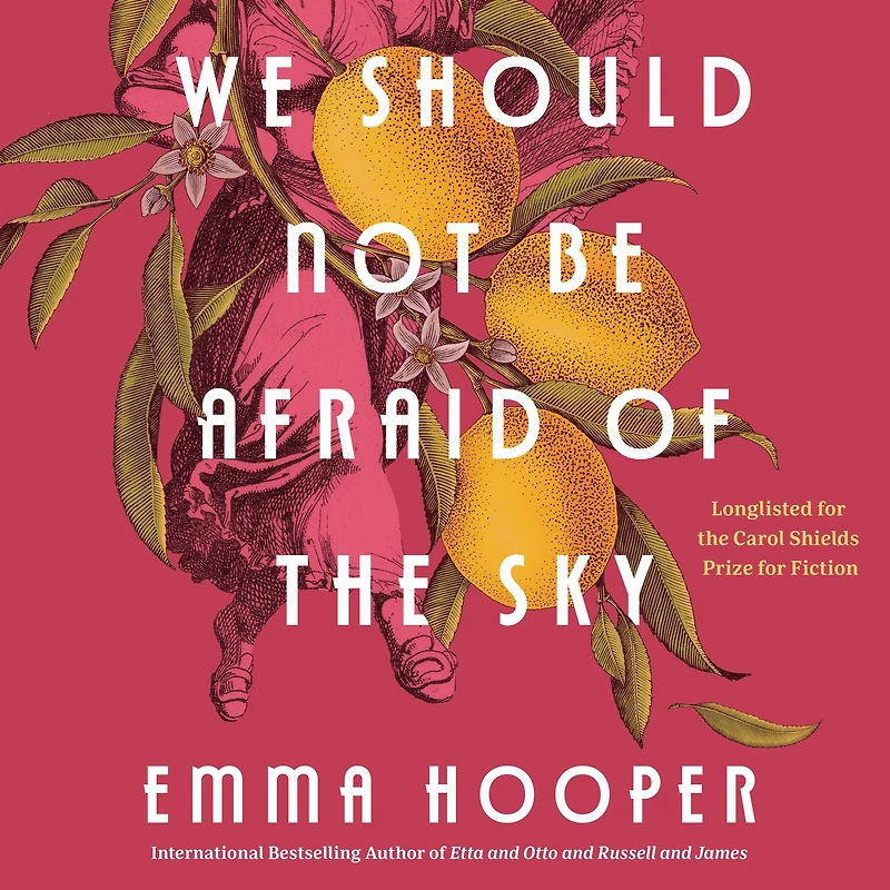 We Should Not Be Afraid of the Sky