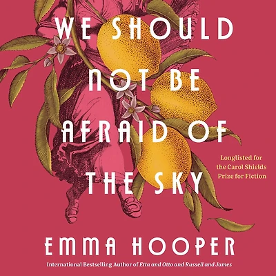 We Should Not Be Afraid of the Sky