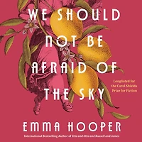 We Should Not Be Afraid of the Sky
