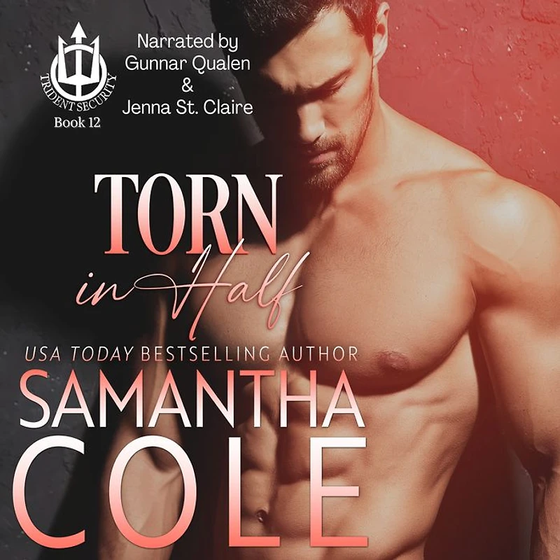 Torn Half (Trident Security Book 12)