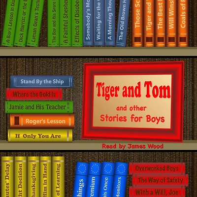 Tiger and Tom Other Stories for Boys