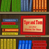 Tiger and Tom Other Stories for Boys
