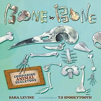 Bone by Bone: Comparing Animal Skeletons