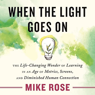 When The Light Goes On: Life-Changing Wonder of Learning an Age Metrics, Screens, and Diminished Human Connection