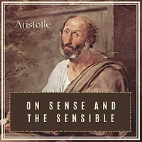 On Sense and the Sensible (Illustrated)