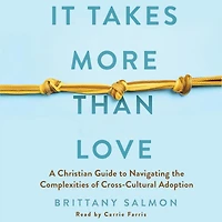 It Takes More Than Love: A Christian Guide to Navigating the Complexities of Cross-Cultural Adoption
