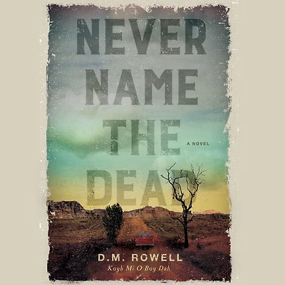 Never Name the Dead: A Novel