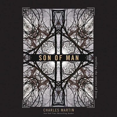 Son of Man: Retelling the Stories Jesus