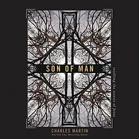 Son of Man: Retelling the Stories Jesus