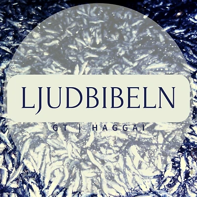 GT Haggai: Ljudbibeln