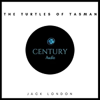 The Turtles of Tasman