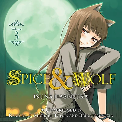 Spice and Wolf, Vol. 3 (light novel)