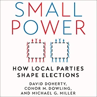 Small Power: How Local Parties Shape Elections