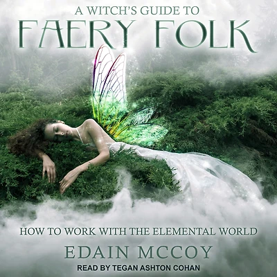 A Witch's Guide to Faery Folk: How Work with the Elemental World