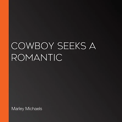 Cowboy Seeks a Romantic