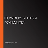 Cowboy Seeks a Romantic