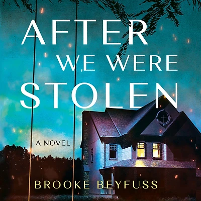 After We Were Stolen: A Novel