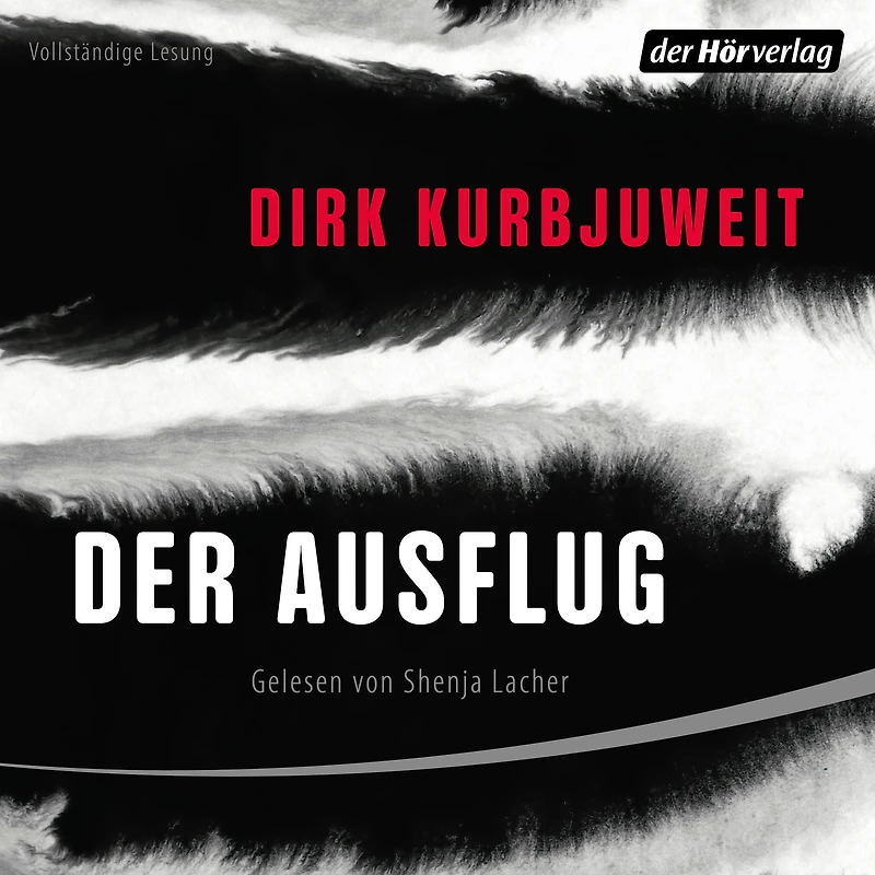 Der Ausflug: Roman