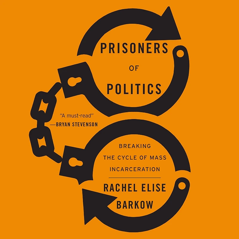 Prisoners of Politics: Breaking the Cycle Mass Incarceration