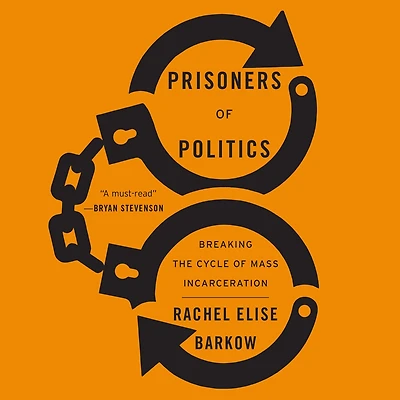 Prisoners of Politics: Breaking the Cycle Mass Incarceration