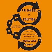Prisoners of Politics: Breaking the Cycle Mass Incarceration